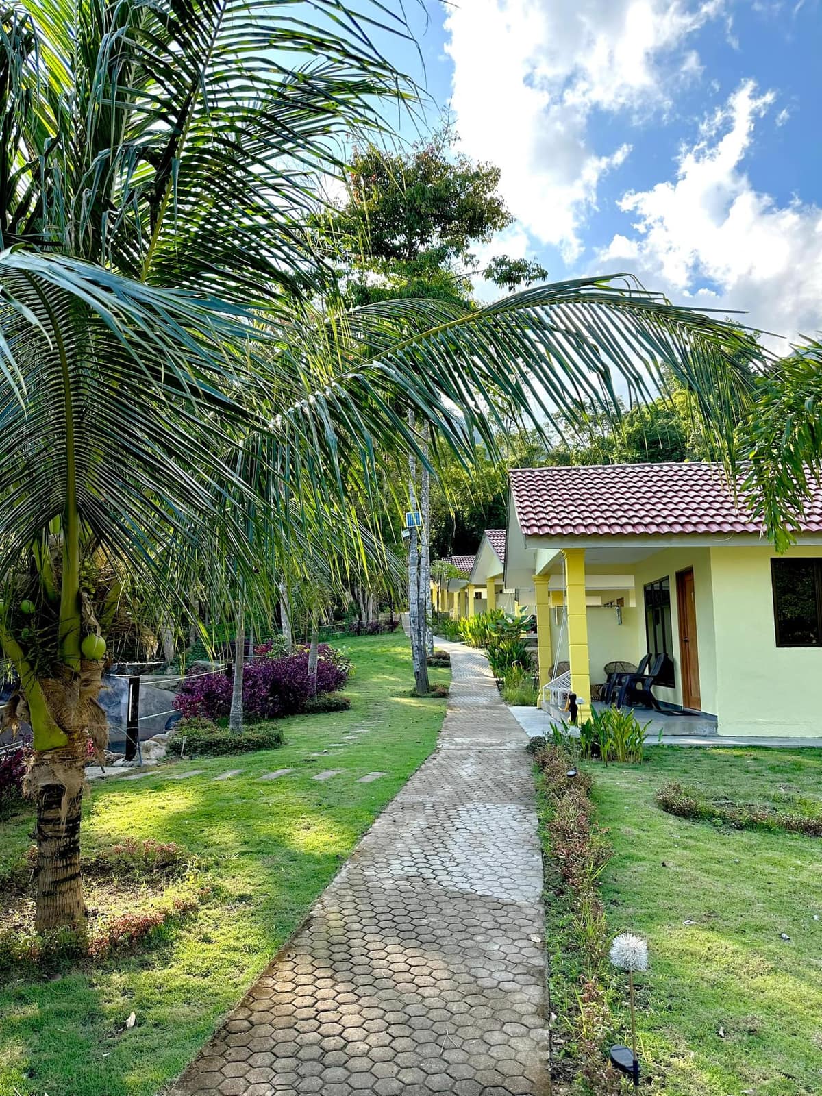 Chalets & the palm-lined walkway