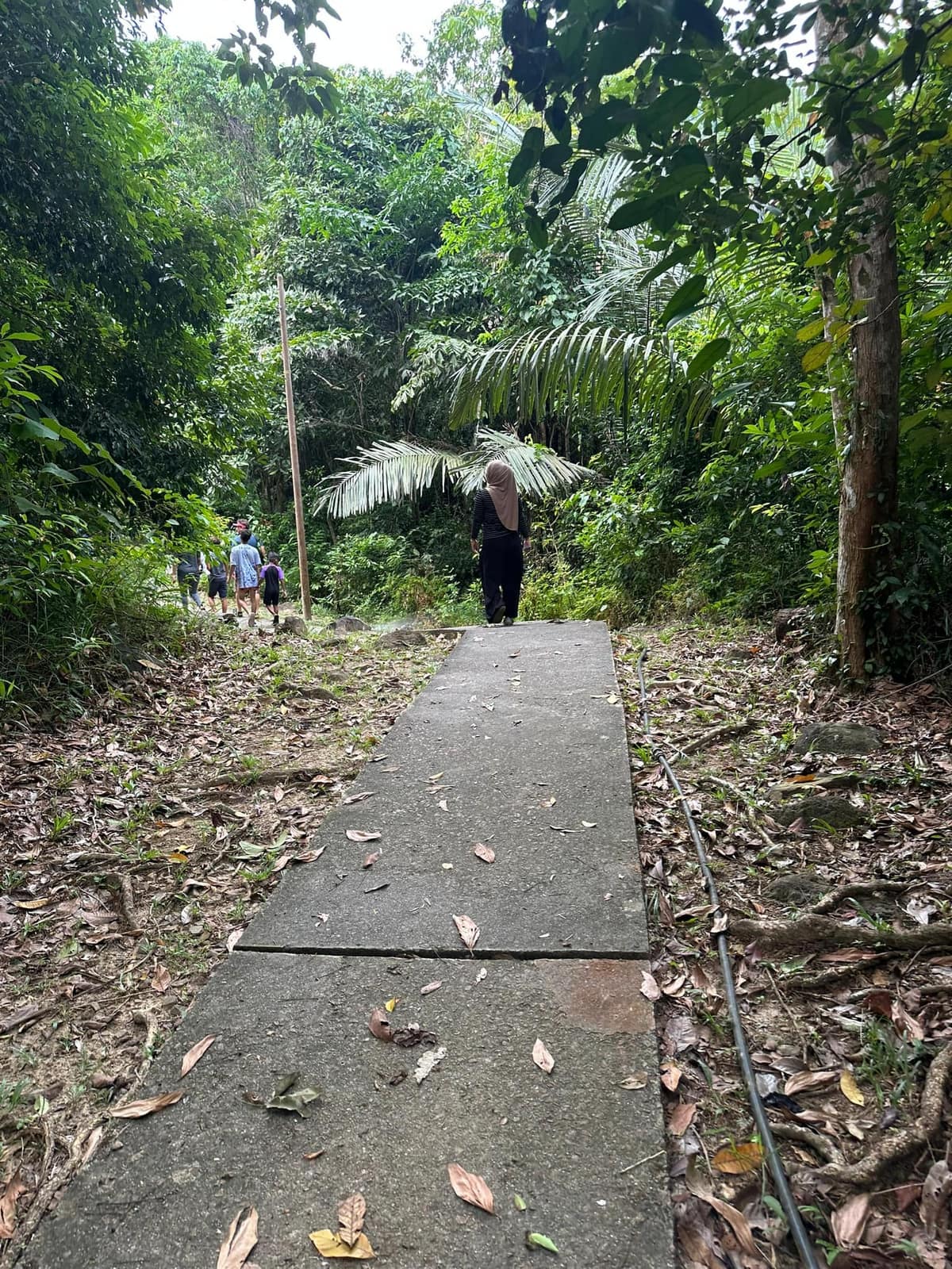 Hiking