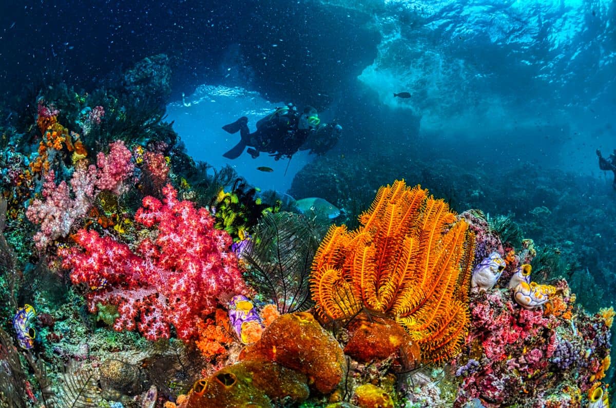 Scuba Diving