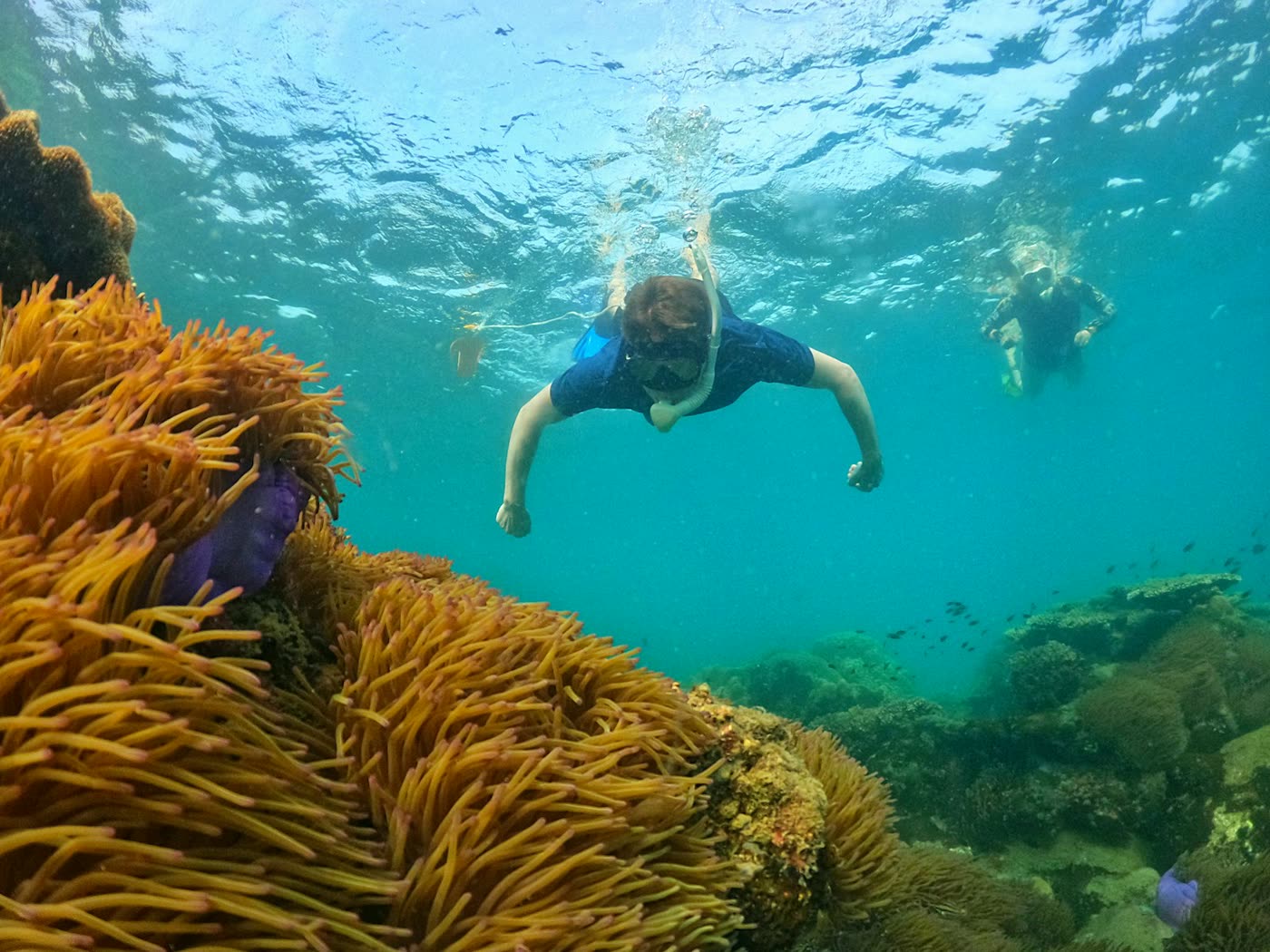 Snorkeling